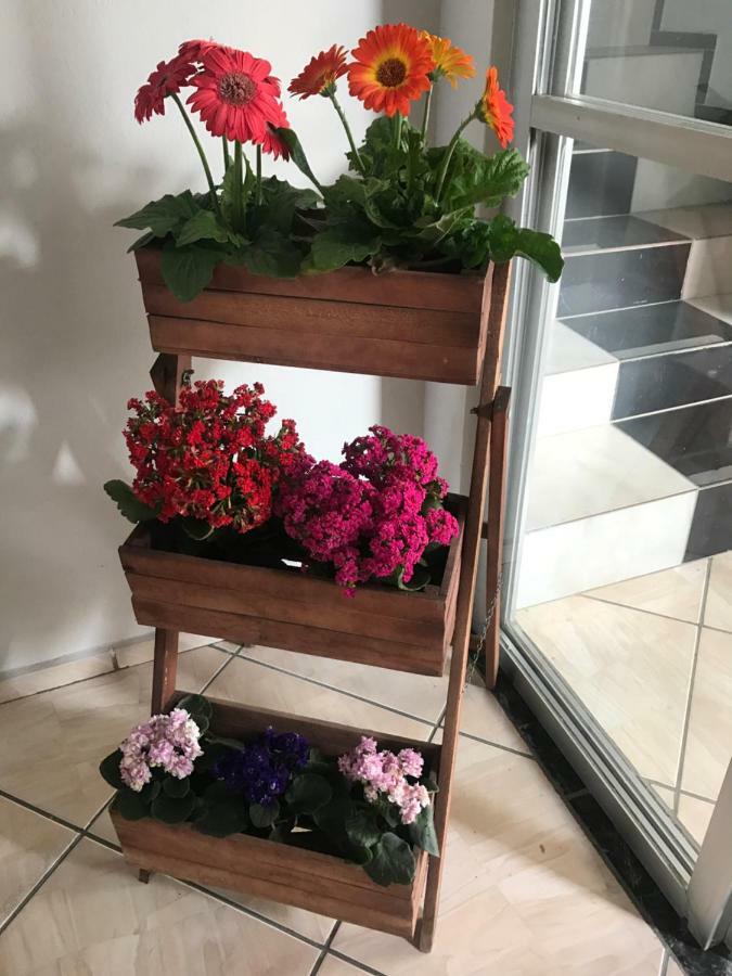נבגאנטס Forte Hotel Ranghetti מראה חיצוני תמונה